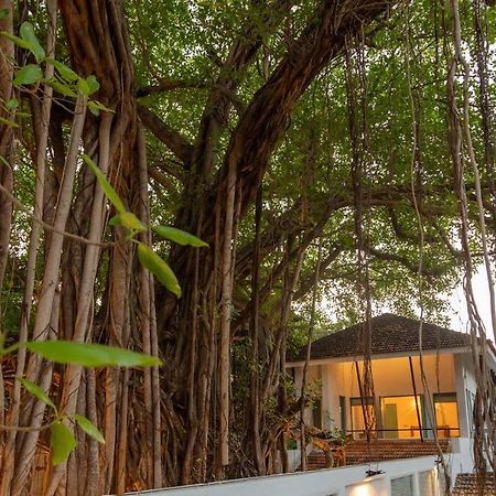 White Banyan Beach Villa, Candolim By The Acacia Villas Ngoại thất bức ảnh