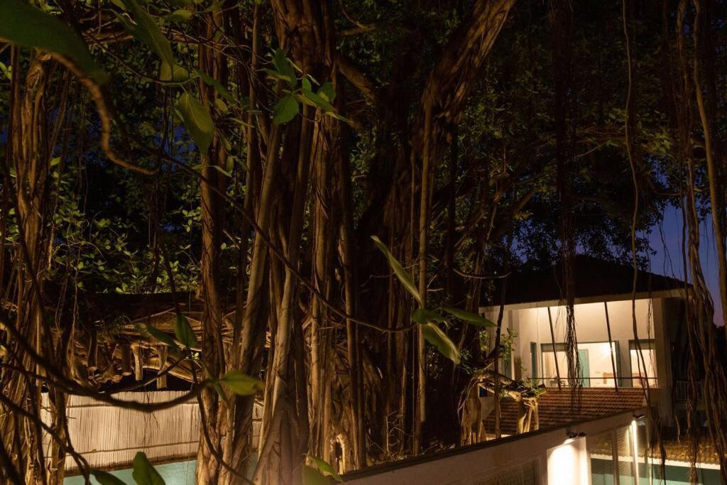 White Banyan Beach Villa, Candolim By The Acacia Villas Ngoại thất bức ảnh