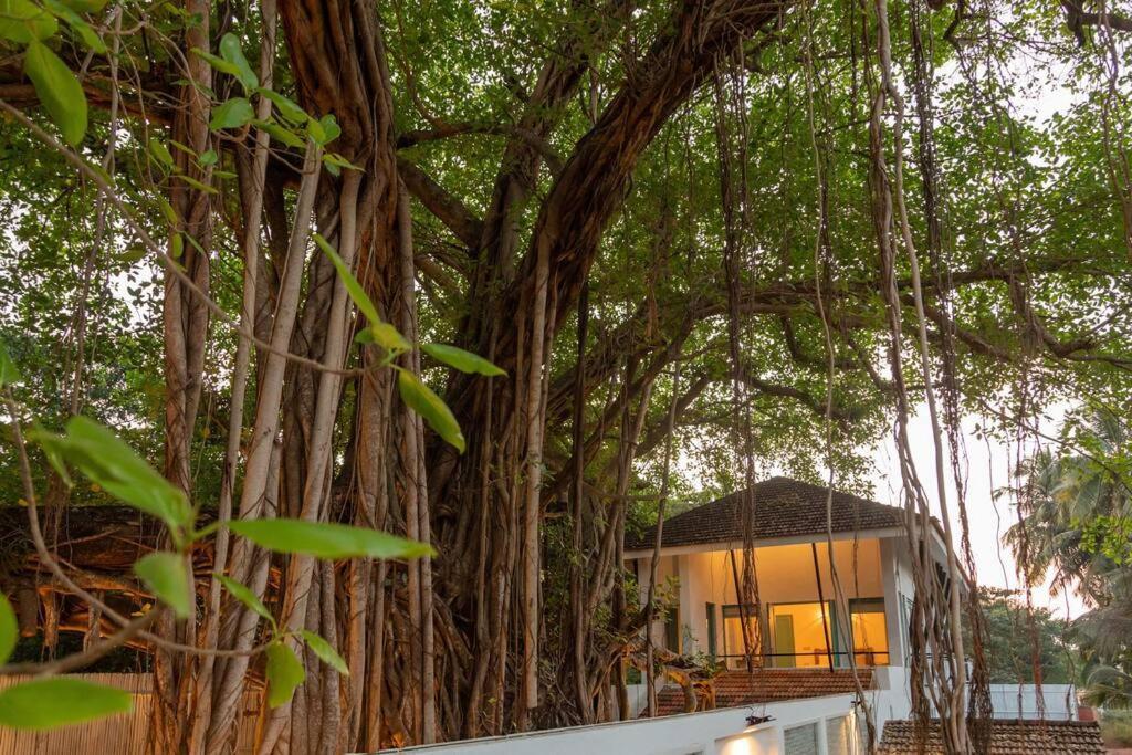 White Banyan Beach Villa, Candolim By The Acacia Villas Ngoại thất bức ảnh